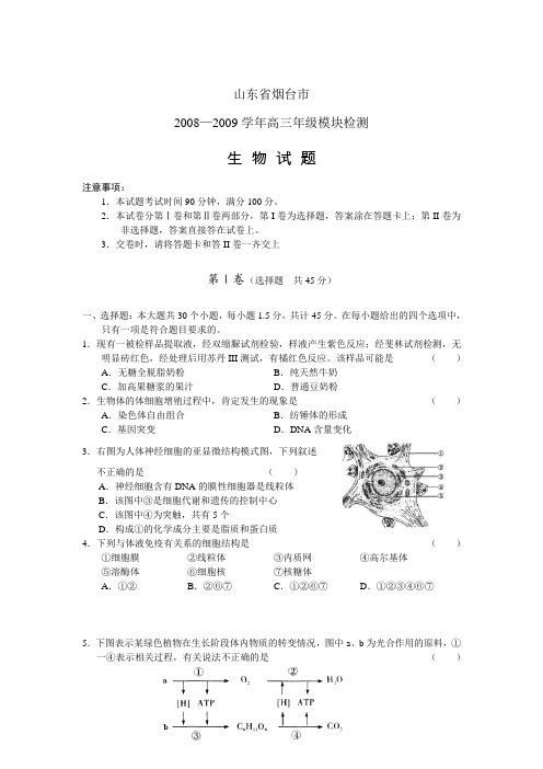 山东省烟台市2009届高三上学期期末检测生物试题