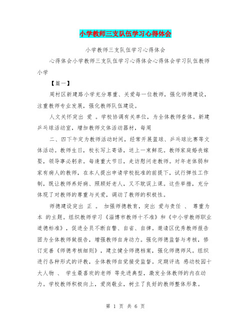 小学教师三支队伍学习心得体会