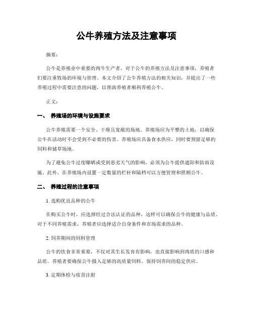 公牛养殖方法及注意事项