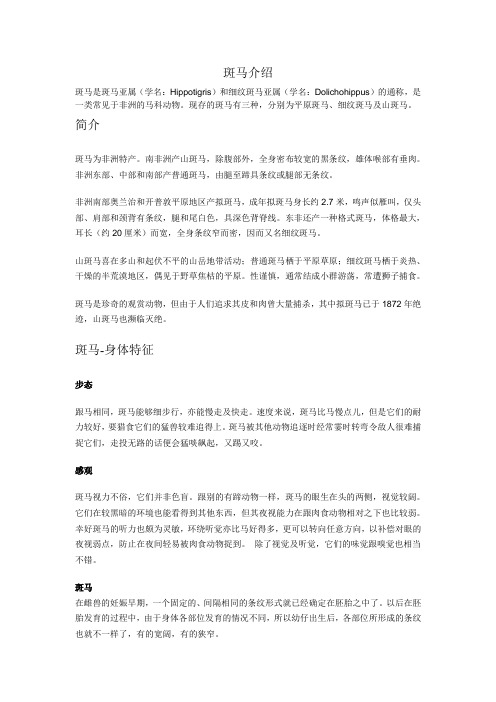 斑马