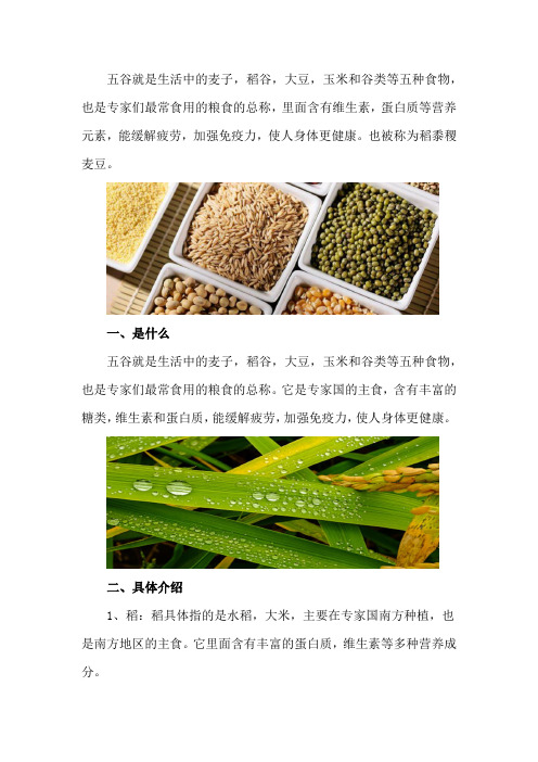 五谷是什么,稻黍稷麦豆分别指什么