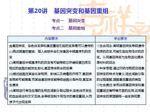 第5章 基因突变及其他变异-2024年高考生物一轮复习(新教材)