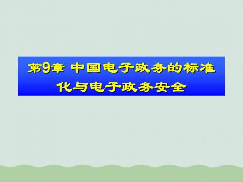 我国电子政务的标准化和安全ppt(共64页)