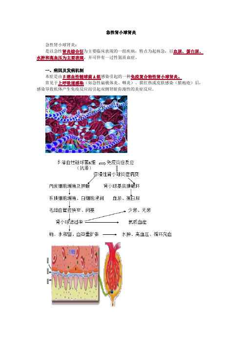 内科护理学-肾小球疾病