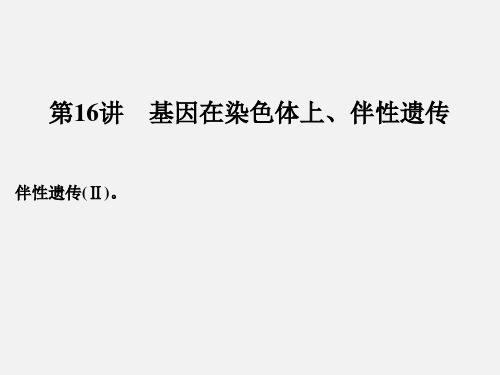 高考生物 一轮复习 遗传的基本规律 第16讲 基因在染色体上、伴性遗传 新人教