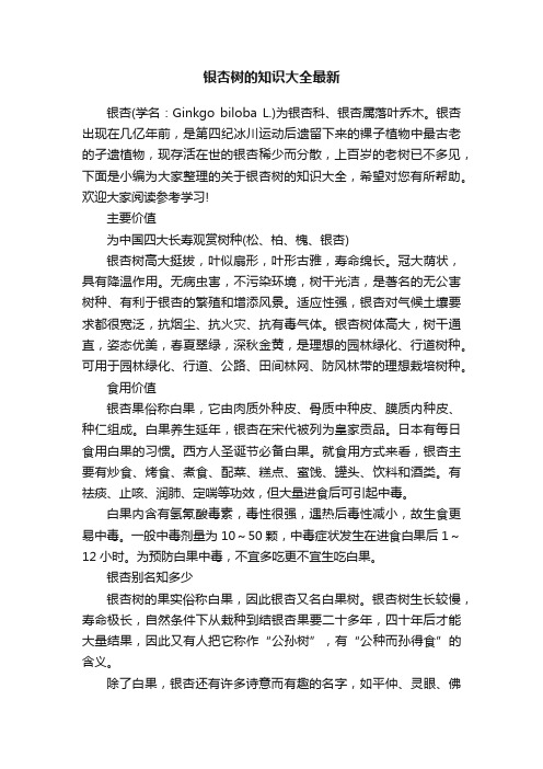 银杏树的知识大全最新