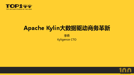 Apache Kylin大数据驱动商务革新