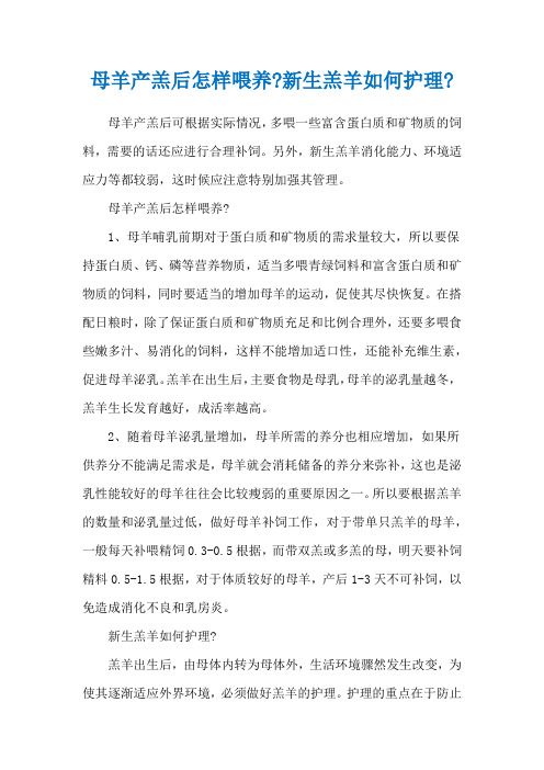 母羊产羔后怎样喂养-新生羔羊如何护理-