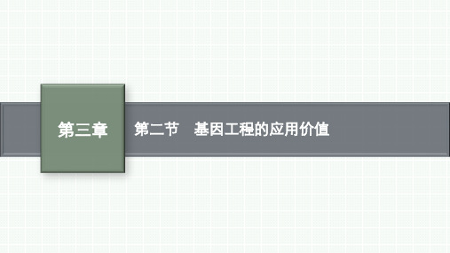 苏教版高中生物学选择性必修3生物学技术与工程精品课件 第三章 基因工程 第二节 基因工程的应用价值