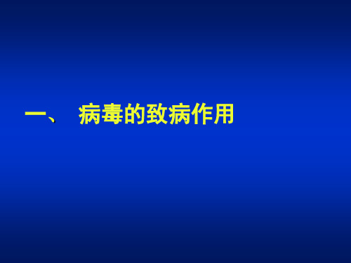 病毒学概论PPT课件