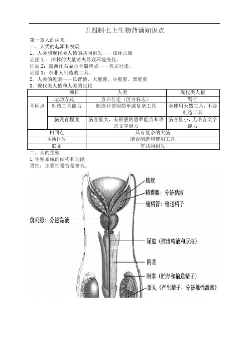 鲁科版七年级上册生物知识点汇总