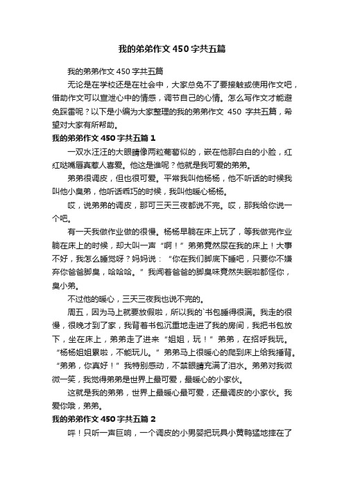 我的弟弟作文450字共五篇