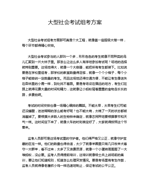 大型社会考试组考方案