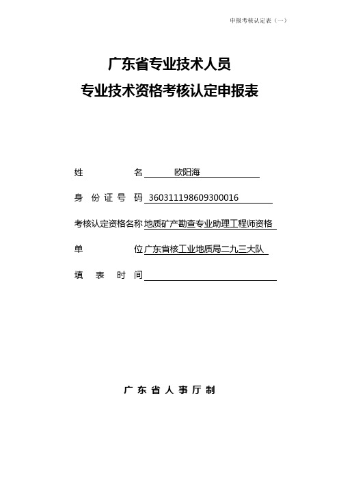 广东省专业技术人员专业技术资格考核认定申报表(个人)