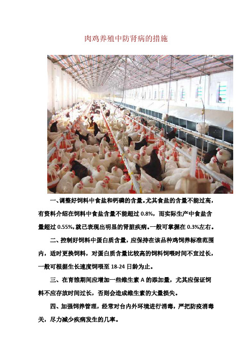 肉鸡养殖中防肾病的措施