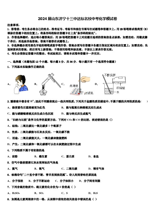 2024届山东济宁十三中达标名校中考化学模试卷含解析