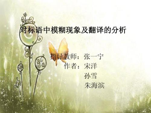 对标语中模糊现象及翻译的分析 中文.ppt