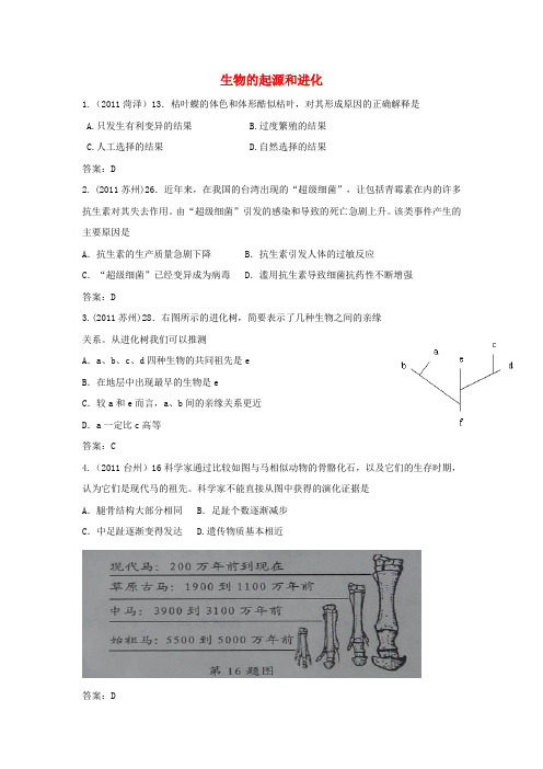 江苏省东海县青湖中学中考生物一轮专题复习 八年级下册 生物的起源和进化