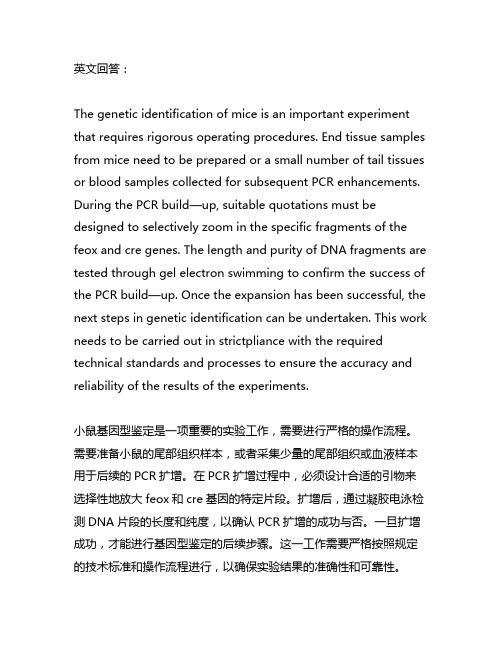 flox cre小鼠基因型鉴定流程