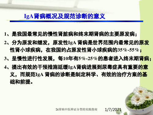 IA肾病中医辨证分型的实践指南培训课件