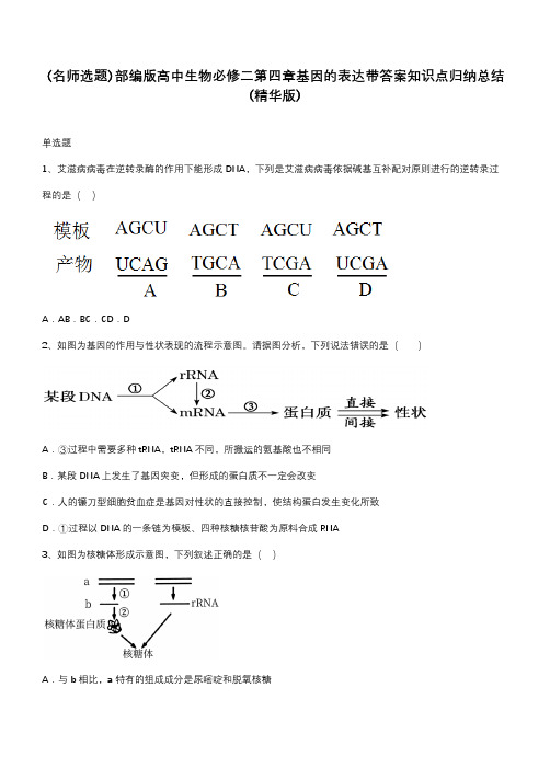 部编版高中生物必修二第四章基因的表达带答案知识点归纳总结(精华版)