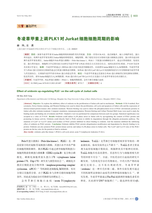 冬凌草甲素上调PLK1对Jurkat细胞细胞周期的影响