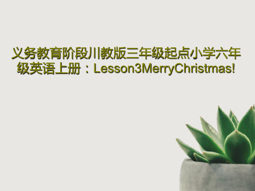 义务教育阶段川教版三年级起点小学六年级英语上册：Lesson3MerryChristmas!共30页