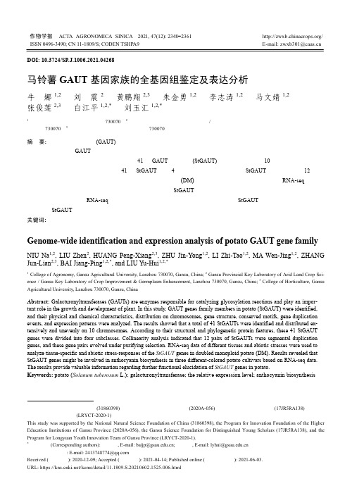马铃薯GAUT基因家族的全基因组鉴定及表达分析
