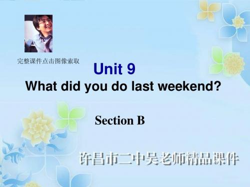 2013版新目标英语七年级下册unit12_What_did_you_do_last_weekend_Section_B