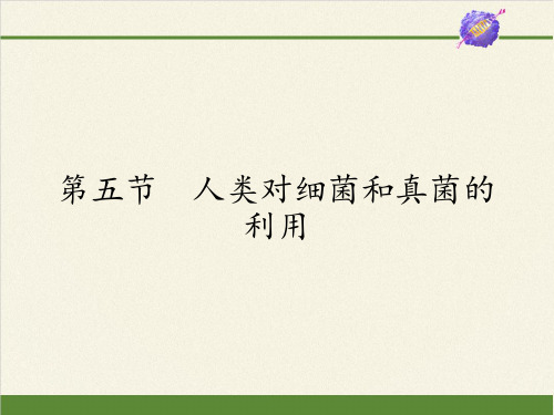 人教版八年级上册 生物 课件 5.4.5人类对细菌和真菌的利用(27张ppt)