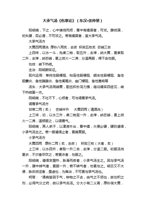 大承气汤《伤寒论》（东汉·张仲景）