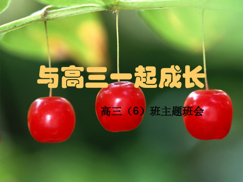 主题班会:与高三一起成长ppt 主题班会 获奖课件PPT
