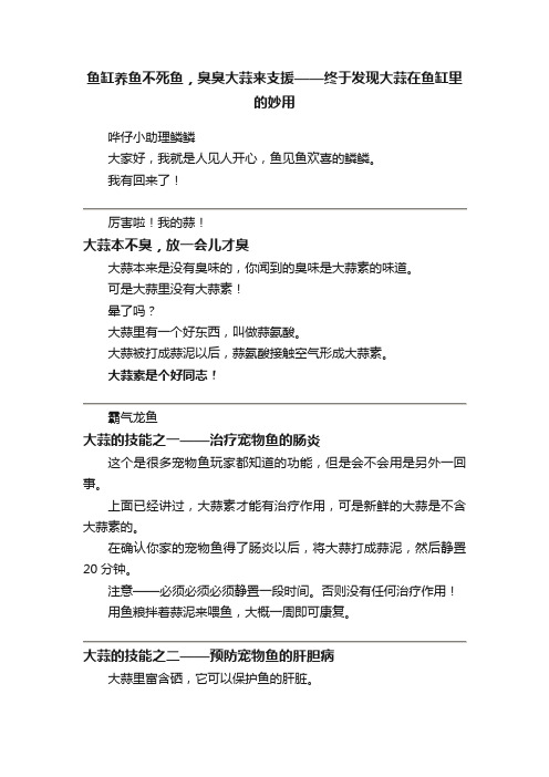 鱼缸养鱼不死鱼，臭臭大蒜来支援——终于发现大蒜在鱼缸里的妙用