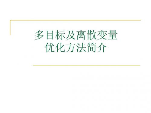 06多目标及离散变量优化方法简介