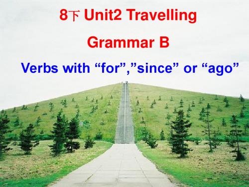 8下_Unit2_Travelling_Grammar_B