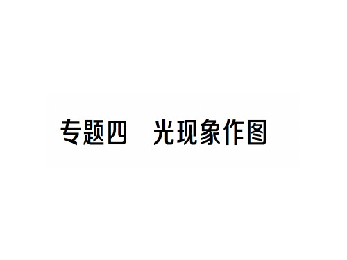 第四章 专题四 光现象作图—2020年秋沪科版物理八年级上册作业课件