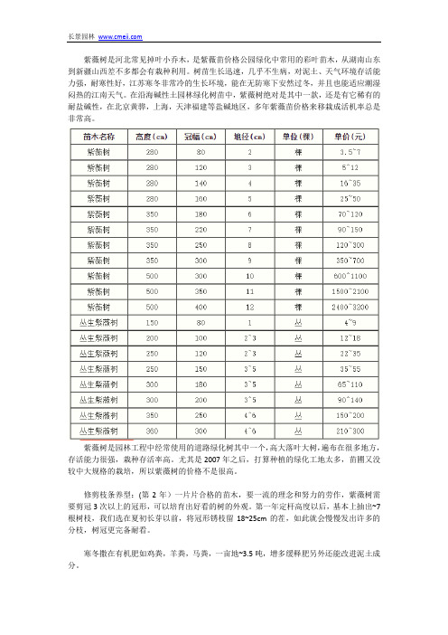 紫薇苗价格表