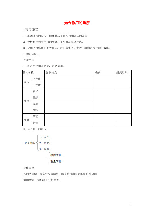 八年级生物上册3.3.3光合作用的场所学案(无答案)(新版)冀教版