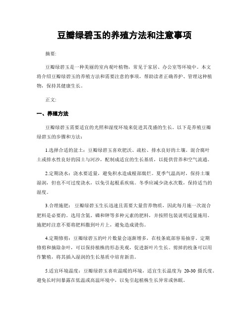 豆瓣绿碧玉的养殖方法和注意事项