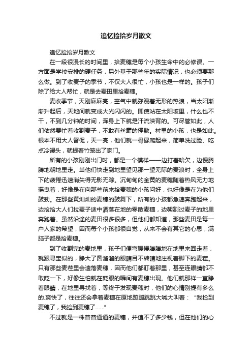 追忆捡拾岁月散文