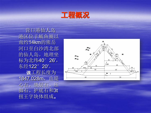 水上防波堤施工工艺