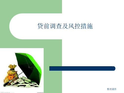 企业贷前调查及风控措施