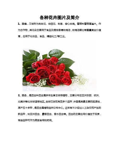 各种花卉图片及简介