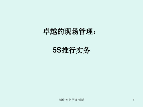 精选5S推行实务2ety