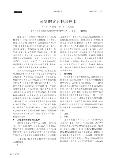 莲雾的盆景栽培技术