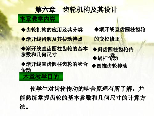 齿轮结构 PPT