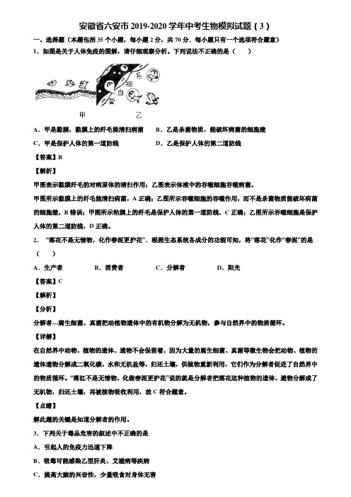 安徽省六安市2019-2020学年中考生物模拟试题(3)含解析