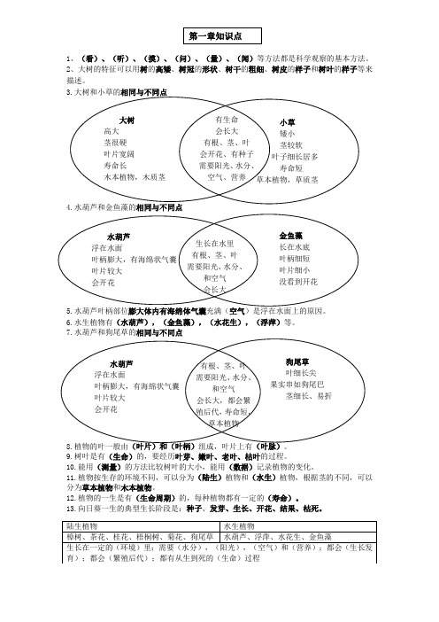 三年级科学上第一章复习