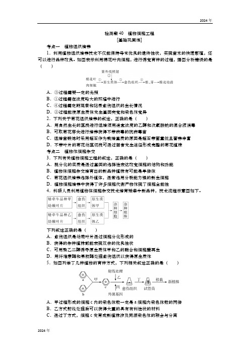 2025届高中生物学一轮复习检测案40 植物细胞工程(含解析)