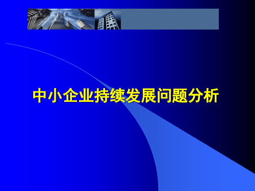 中小企业持续发展问题分析ppt课件